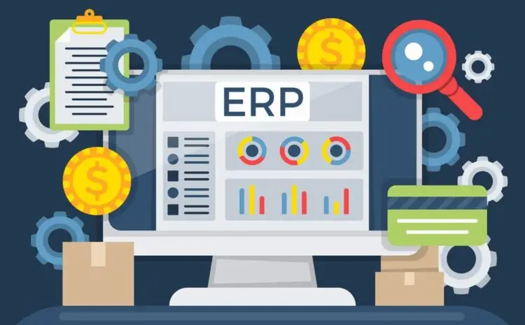 ERP system implantation process