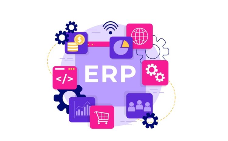 Microsoft ERP for Small Businesses