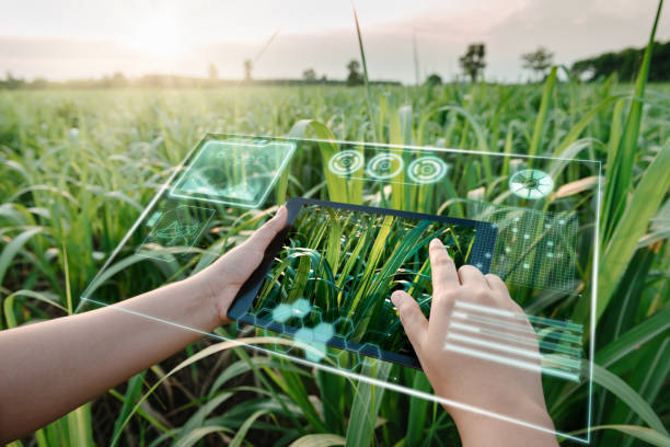 Future of Smart Agriculture