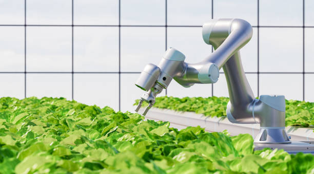 Machine Learning in Agriculture