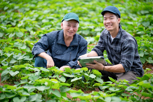 Smart Agriculture Solutions