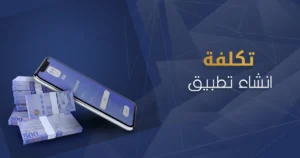 تكلفة برمجة نظام خاص: ما العوامل التي تؤثر عليها؟