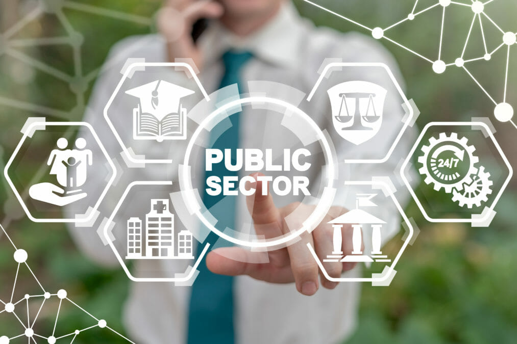 Government Sector Transformation Through IT