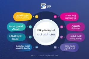 أنظمة الـ ERP للشركات