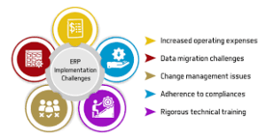 ERP in the Public Sector: Key Challenges