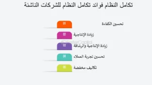 ما هو تكامل الأنظمة ولماذا تحتاجه الشركات؟