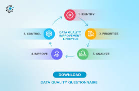 Improving Data Quality in Large Enterprises