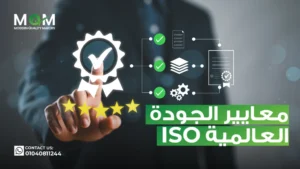 كيف يدعم تطوير منخفض الكود للمؤسسات معايير النجاح داخل المؤسسة؟