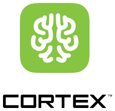 التوطئة: أهمية دعم RTL في التحوّل الرقمي العربي