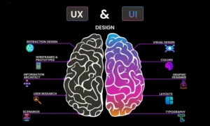 أهمية تجربة المستخدم في بيئة منخفضة الكود