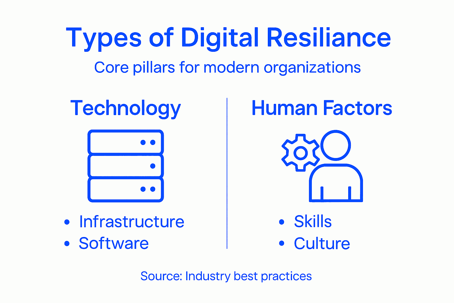 Infographic illustrating types of digital resilience