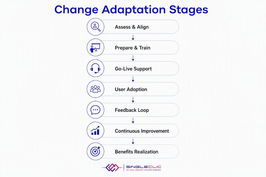 Infographic illustrating change adaptation stages
